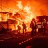 U fotografijama: Dramatične scene požara koji guta delove Los Anđelesa 6