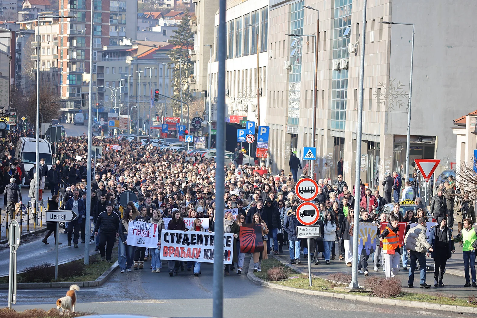 Vučić predlaže Srbiju kao domaćina susreta Putina i Trampa: Mi smo jedini neutralni teren 4