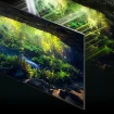 Neo Qled 8K i 4K - Savršenstvo slike uz moć veštačke inteligencije 7