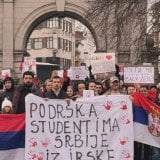 Zajednica Srba u Irskoj: Puna podrška svima koji se bore za pravednu i bolju Srbiju (FOTO, VIDEO) 6