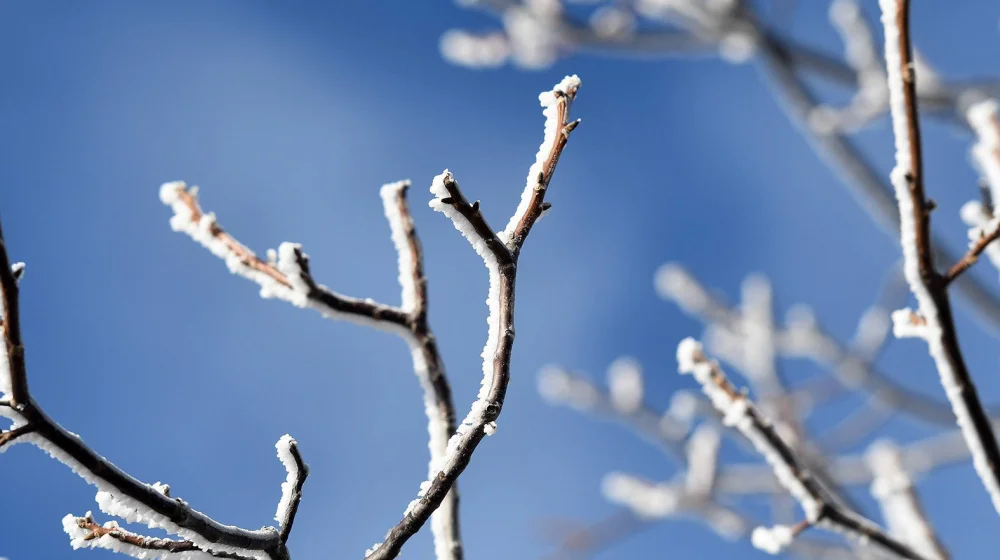 Noć u Srbiji hladna i suva: Temperature do minus pet stepeni 9