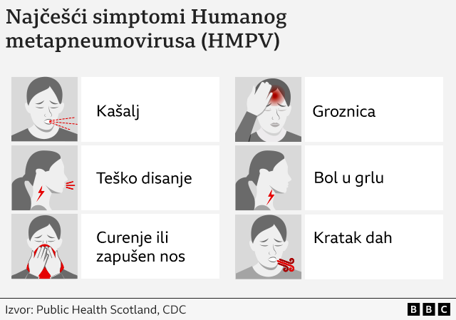 Grafika koja prikazuje simtpome Humanog metapneumovirusa