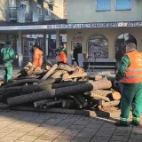 Seča stabala u centru Majdanpeka kao "kontra udar" javnoj raspravi o proširenju rudnika 5