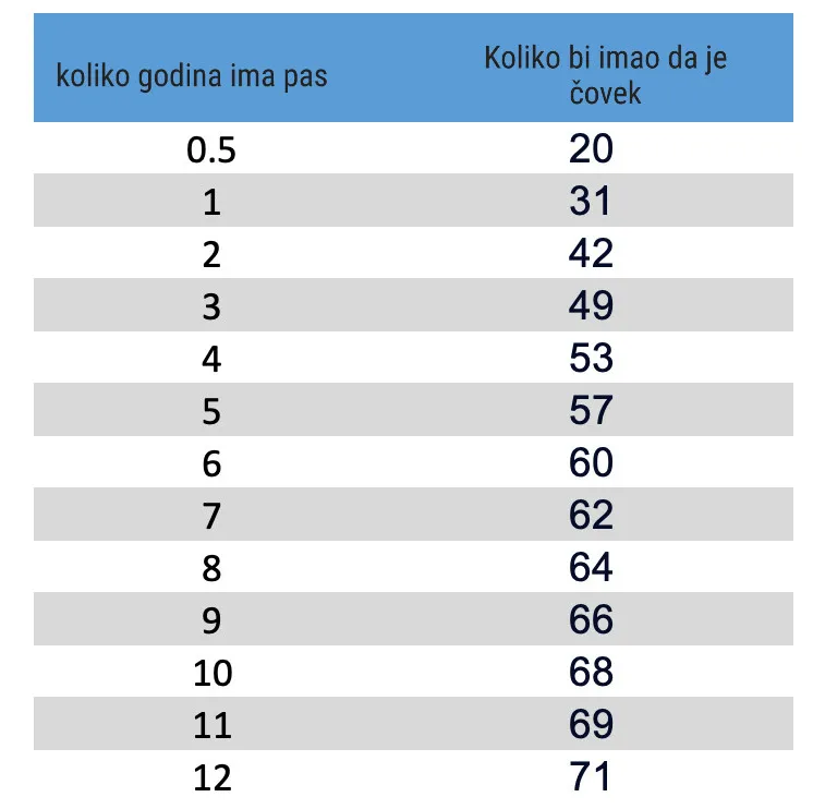 Koliko je zapravo star vaš pas? Ako množite sa 7, opasno grešite 1