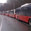 Veliki broj autobusa sa BiH tablicama ušao u Vojvodinu 9