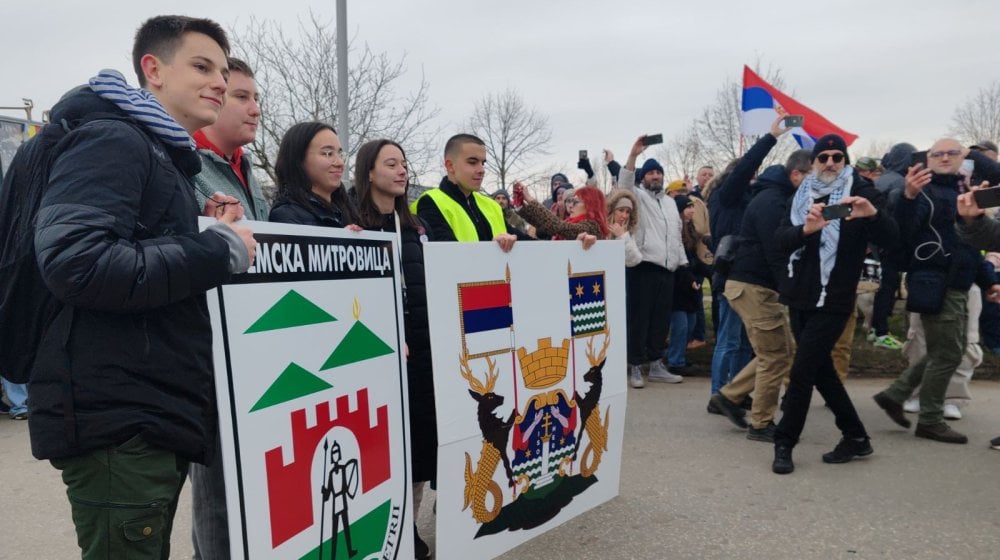 Rumljani u protestnoj šetnji stigli do Sremske Mitrovice (VIDEO/FOTO) 11